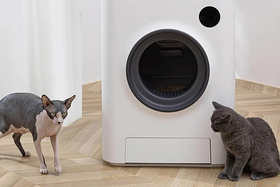 largest litter box