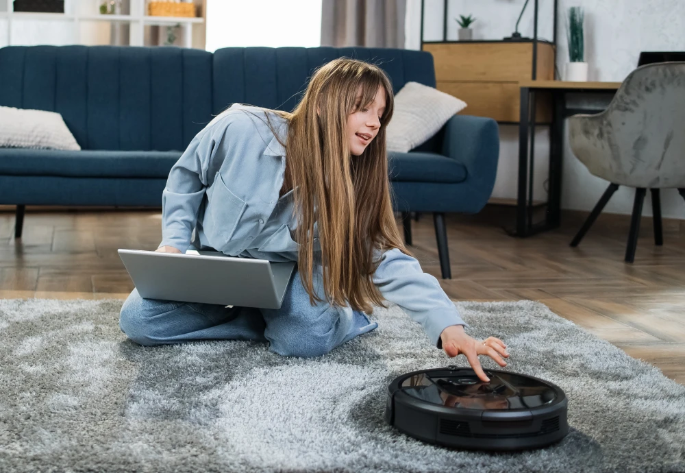 self cleaning vacuum robot